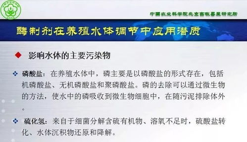 酶制劑在水產(chǎn)動(dòng)物營(yíng)養(yǎng)與保健方面的潛質(zhì)——項(xiàng)目策劃與公關(guān)服務(wù)